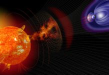 14,300-Year-Old Tree Stumps Reveal Our Ancestors Would Have Been in Big Trouble with Electricity and Satellites