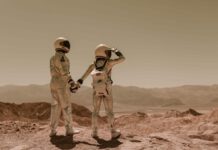 Can Humans Replicate in Space? Encouraging new findings from a Space Station Mouse Embryo Study