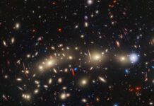 James Webb Telescope Captures Sparkling Christmas Tree Just in Time for the Holidays