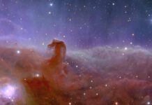 Astronomers Marvel at First Colour Images from Euclid Telescope: Unprecedentedly High-Resolution View of the Cosmos Revealed