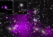 Incredibly Young yet Unbelievably Heavy: Scientists Discover Record-Breaking Distant Black Hole Comparable to a 200kg Toddler