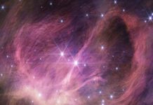 “Meet the Smallest Brown Dwarf Ever Discovered: A Scientific Breakthrough”