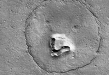 Was Winnie the Pooh Found on Mars? Of Course Not!