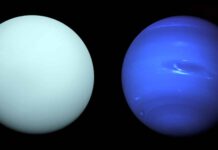 New Study Reveals the True Appearance of Neptune and Uranus, and It’s Quite Surprising!