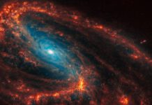 Breathtaking Views: James Webb Captures the Arms of 19 Spiral Galaxies