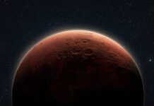 We’re Heading to Mars Carrying Disease-causing Bacteria, and They Seem Fine With It, New Research Shows