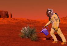 Fertilizing the Red Planet: Festival Pee Turns Out to Be Perfect for Watering Crops on Mars