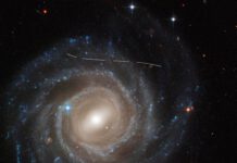 “Hubble Space Telescope Identifies Over a Thousand New Asteroids in Main Belt: A New Frontier in Astronomy”