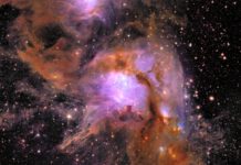 Five Stunning Images from the Euclid Telescope That Exceed All Expectations