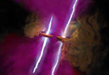 James Webb Telescope Reveals Unexpected Findings on Well-Studied Star WL 20S