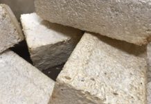 NASA Invests $2 Million to Develop Mold-Resistant Homes