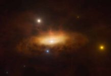 Scientists May Have Witnessed a Black Hole Awakening for the First Time Ever