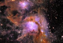 Euclid Reveals the Youngest Stars Forming in Nebula M78